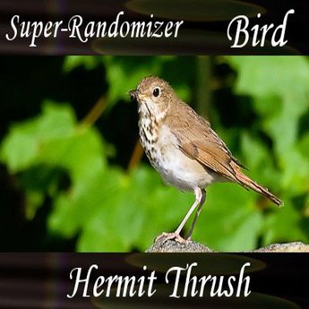Second Life Marketplace - Super-Randomizer - Hermit Thrush (12 sound clips)